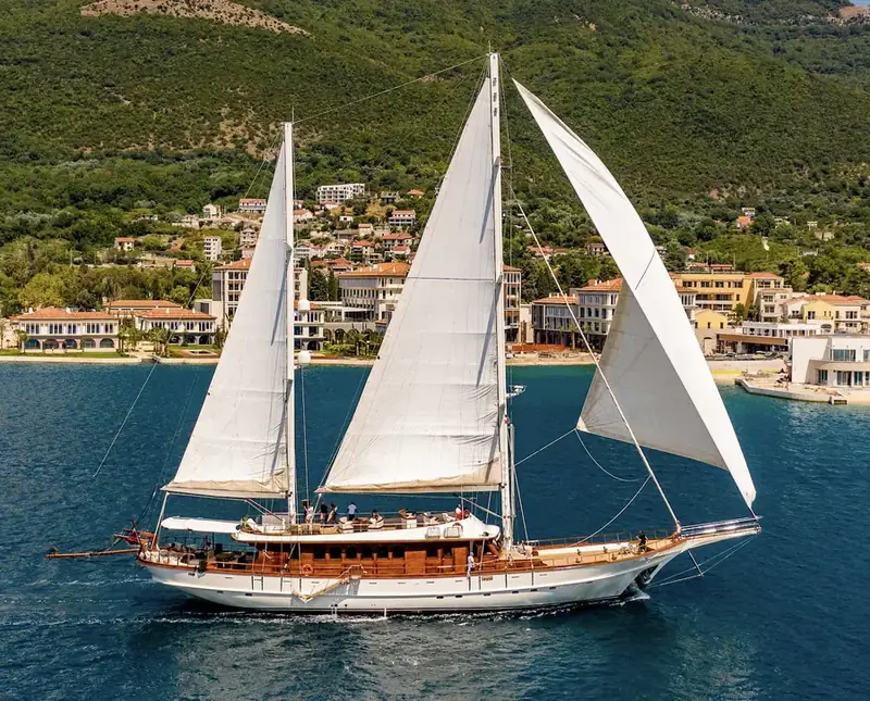 RIANA charter