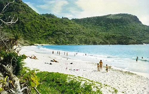 Beachgoers at Anse de Grande Saline, Saint Barthélemy, with white sand and a green hillside beyond the water.