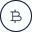 bitcoin icon